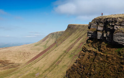 The People That You Meet