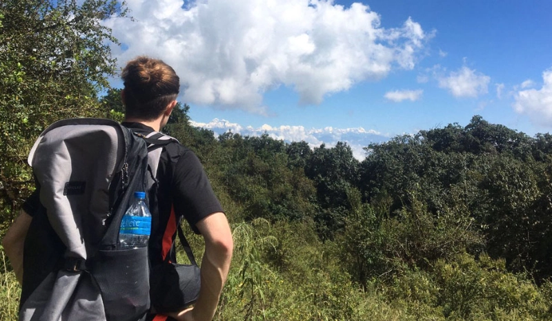 Dave Ward-Smith Blog: Gap Year USA