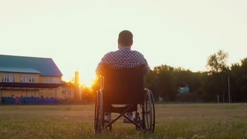 wheelchair rear view